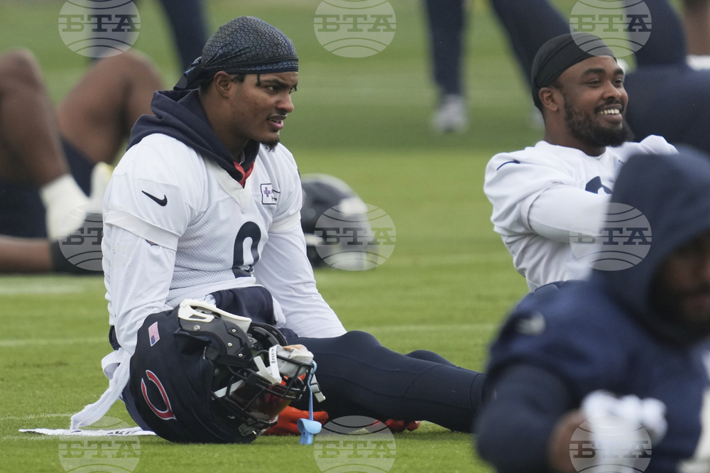 Bears Football