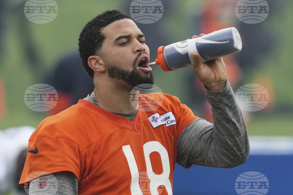 Bears Football