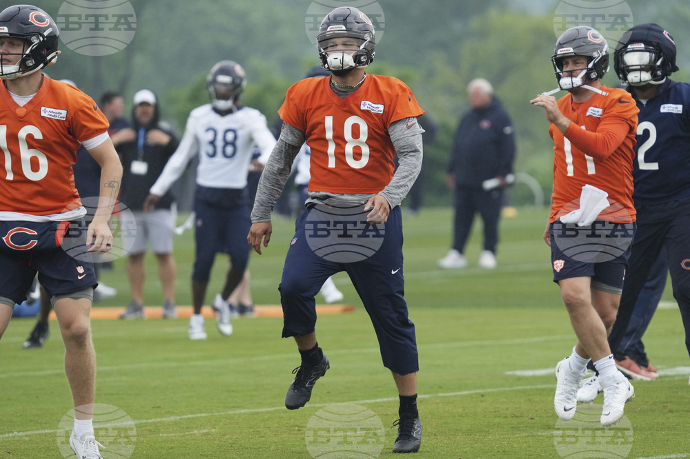 Bears Football