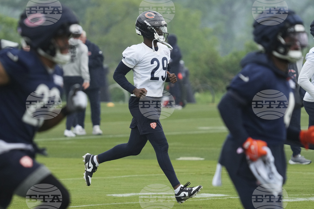 Bears Football