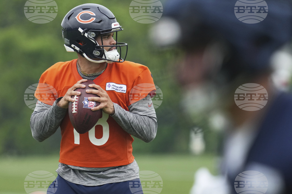 Bears Football