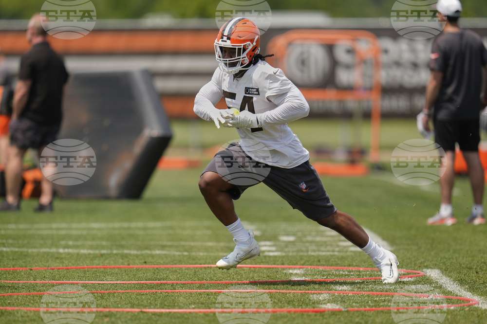 Browns Football