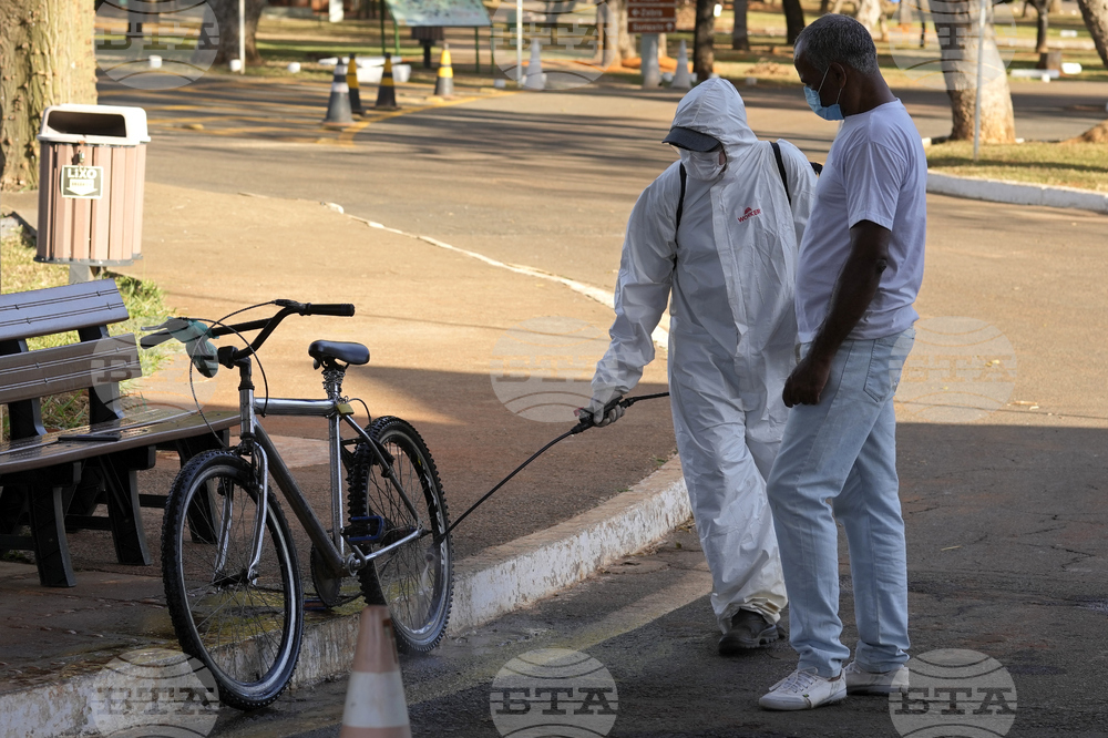 Brazil Bird Flu