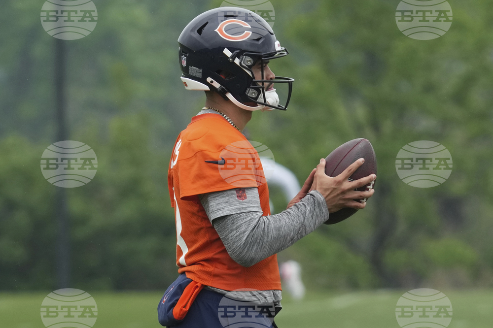 Bears Football