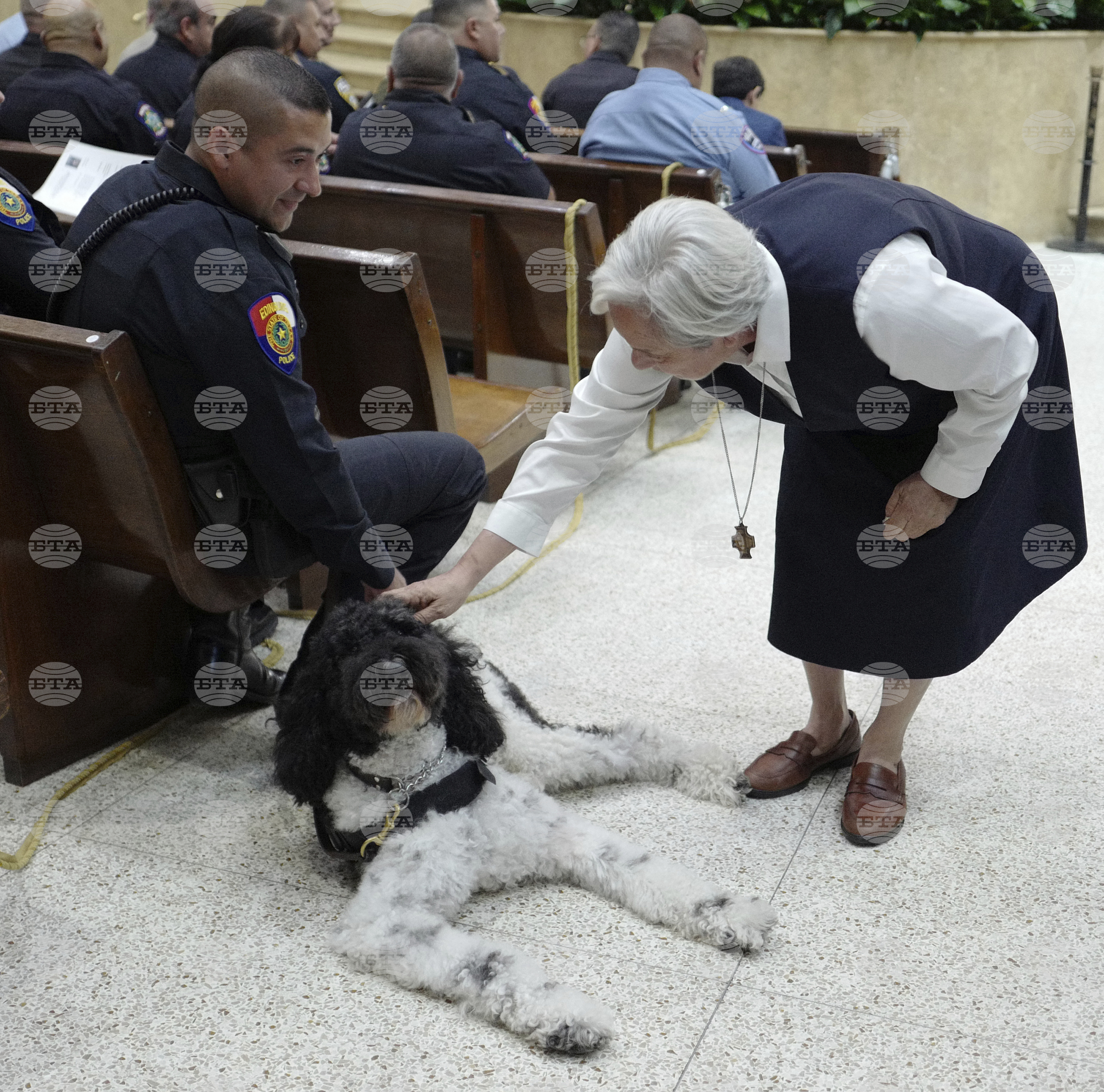 Texas Blue Mass