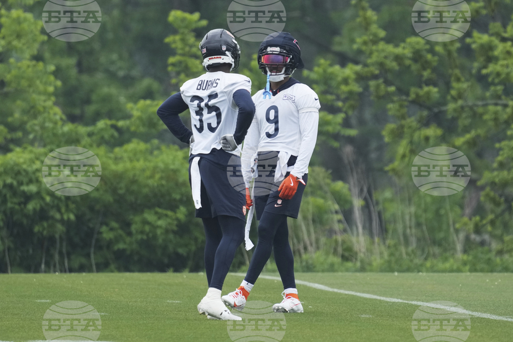 Bears Football