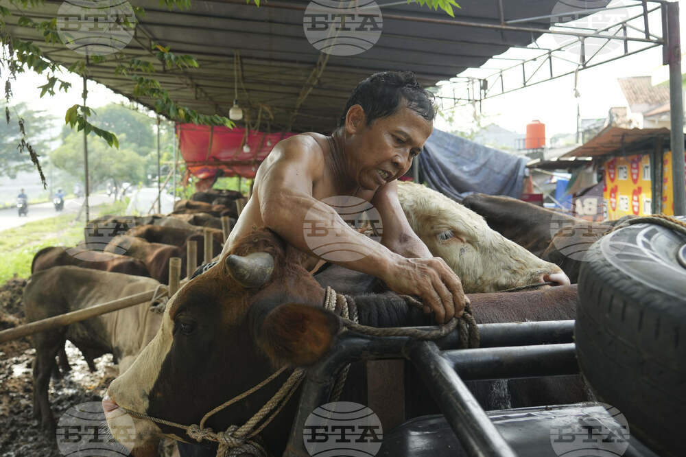 Indonesia Eid al-Adha