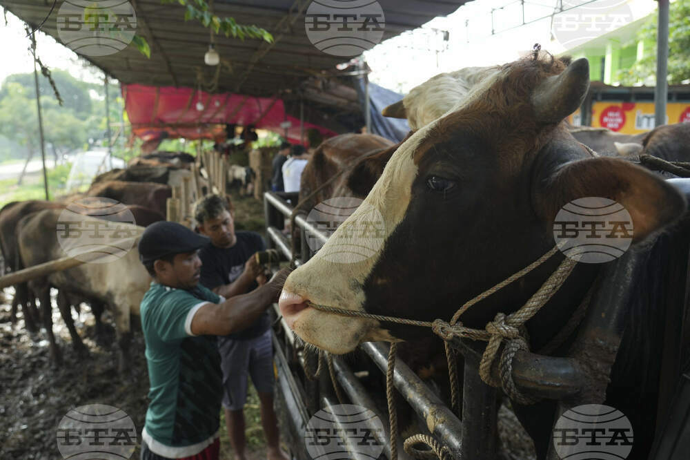 Indonesia Eid al-Adha