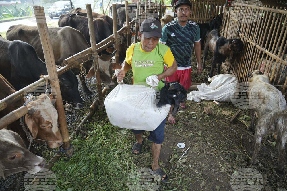 Indonesia Eid al-Adha