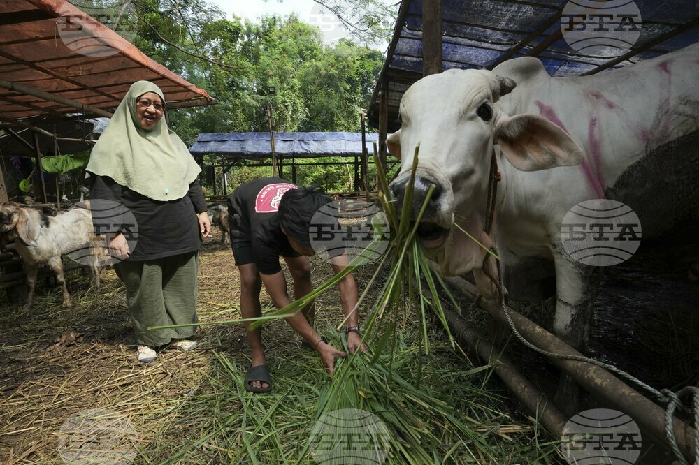 Indonesia Eid al-Adha Photo Gallery