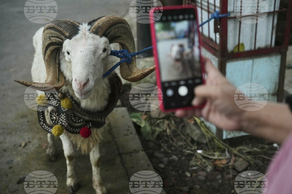Indonesia Eid al-Adha Photo Gallery