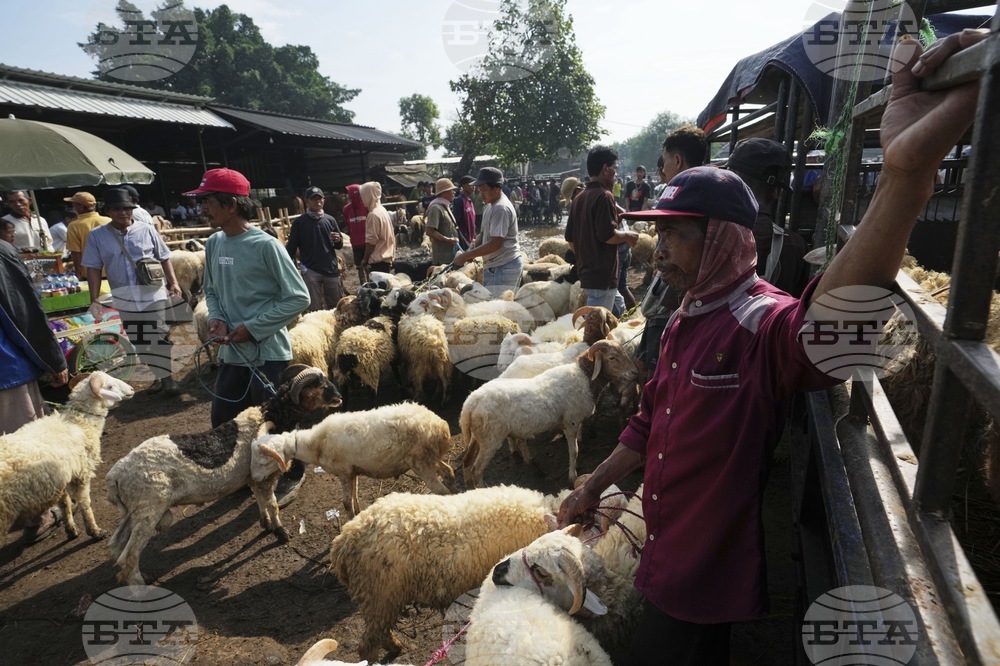 Indonesia Eid al-Adha Photo Gallery