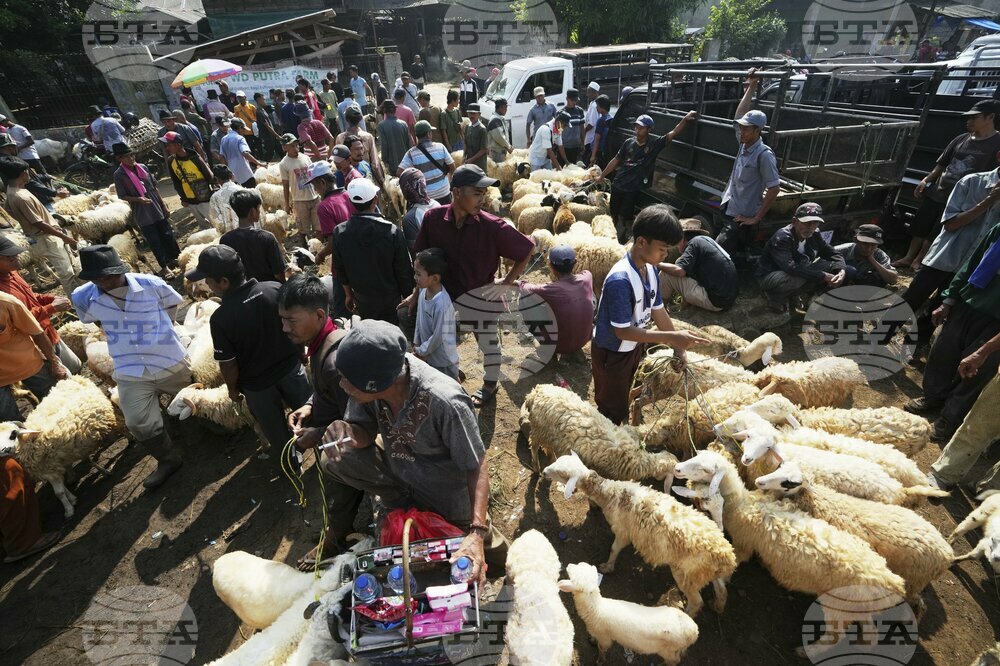 Indonesia Eid al-Adha Photo Gallery