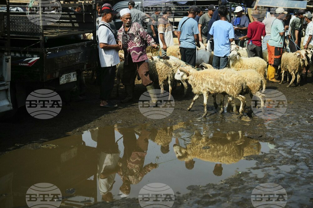 Indonesia Eid al-Adha Photo Gallery