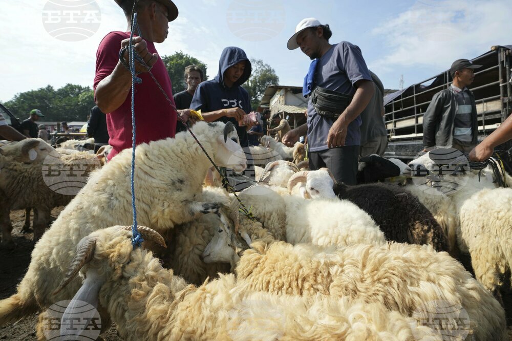 Indonesia Eid al-Adha Photo Gallery