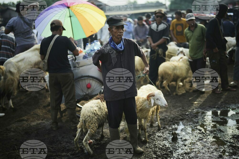Indonesia Eid al-Adha Photo Gallery