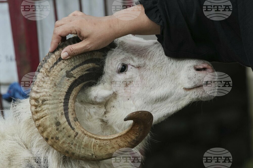 Indonesia Eid al-Adha Photo Gallery