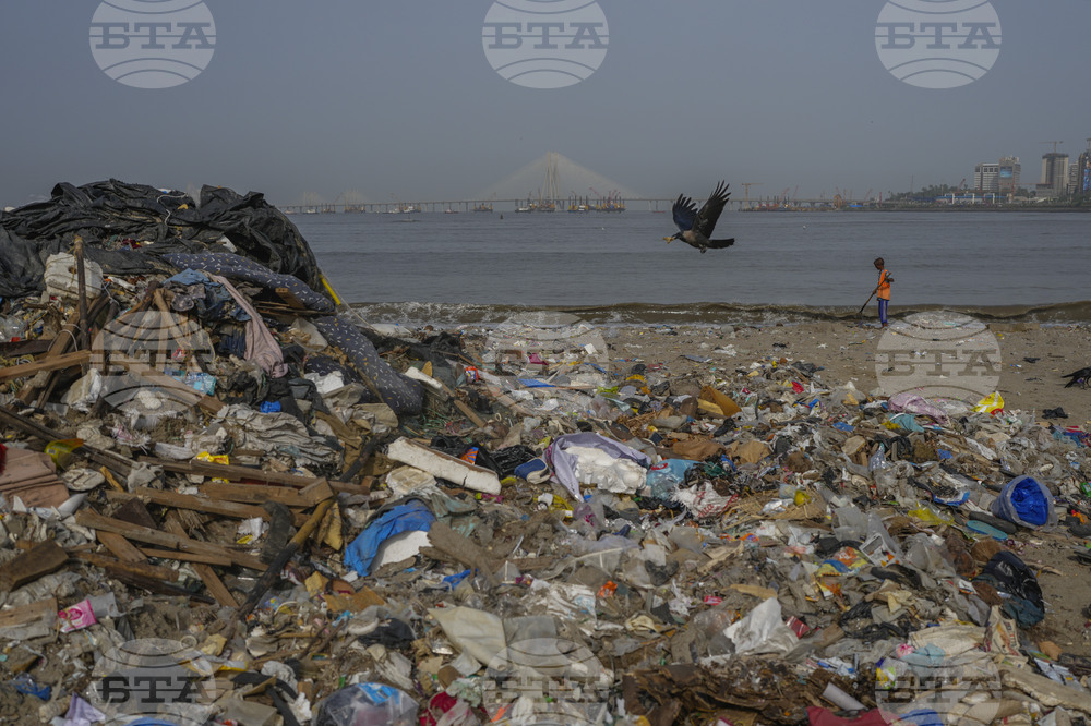 India World Environment Day