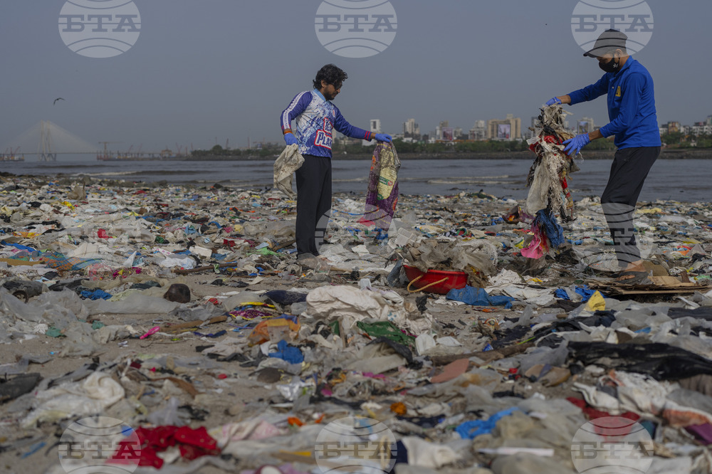 India World Environment Day