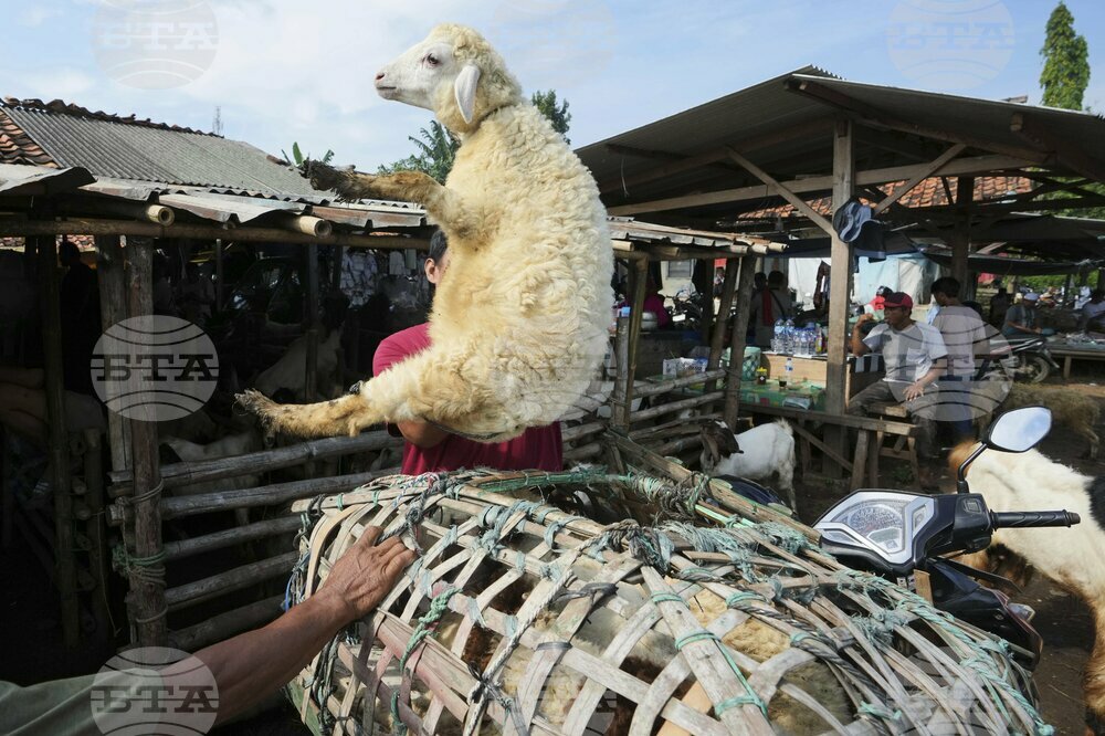 APTOPIX Indonesia Eid al-Adha Photo Gallery