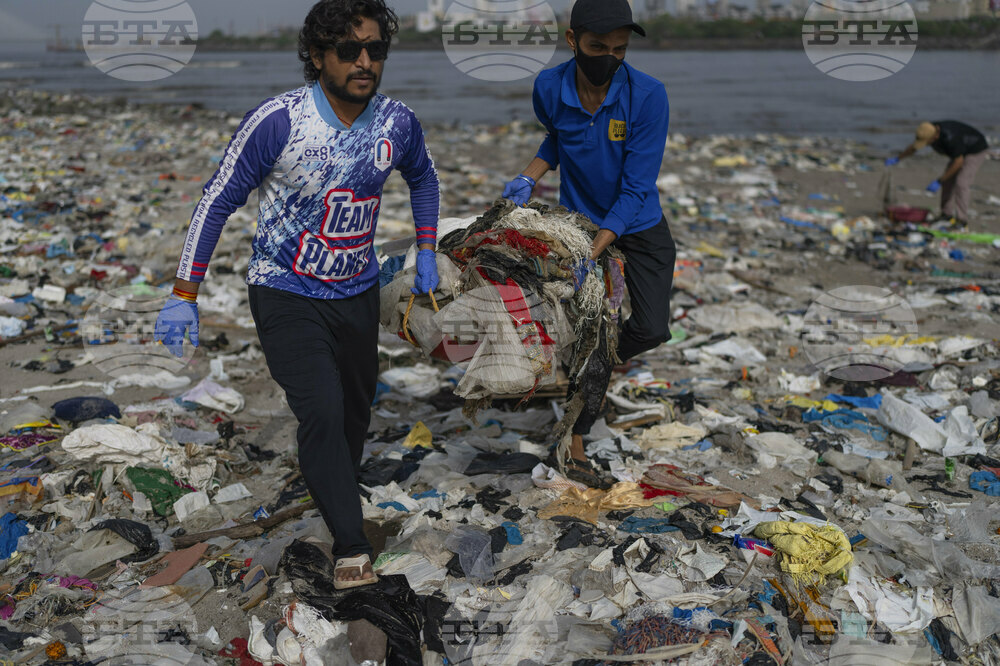 India World Environment Day