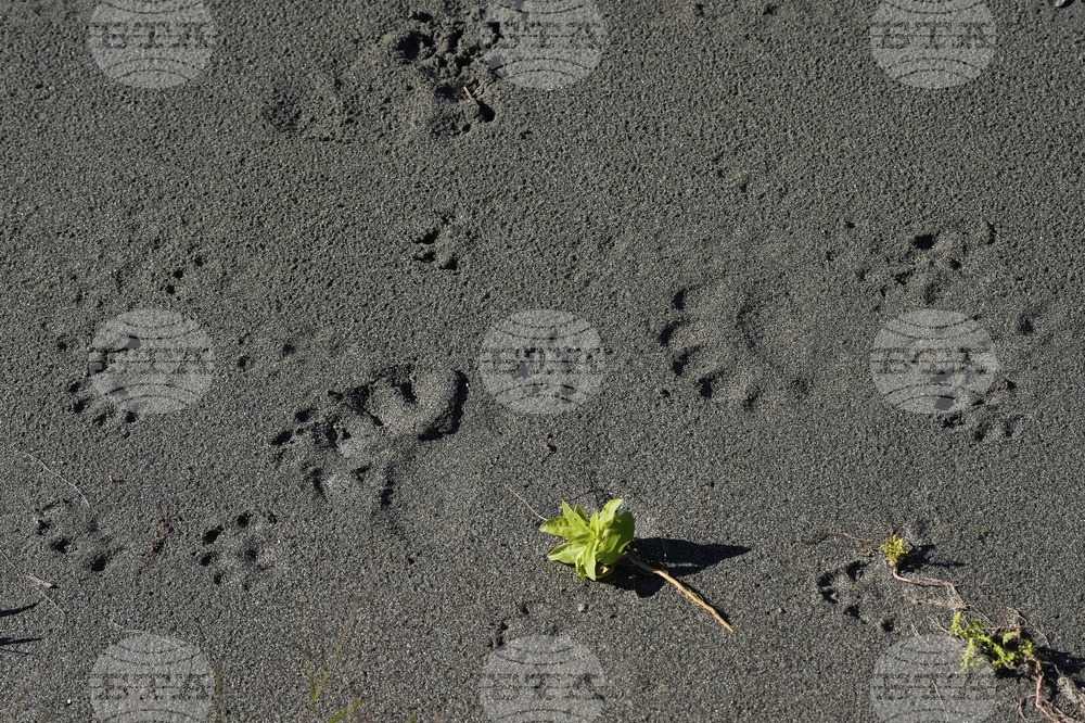 Climate California Tribe Land Back