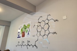 Самоков - ПГ „Константин Фотинов" - природни науки - кабинет - откриване