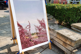 Варна -  фондация „Аморфа“ - фотоизложба „Крайбрежие“
