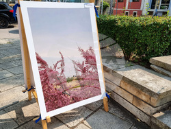 Варна -  фондация „Аморфа“ - фотоизложба „Крайбрежие“