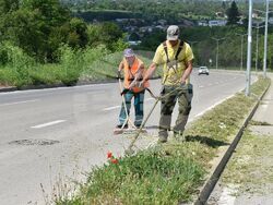 Снимка: Община Разград 