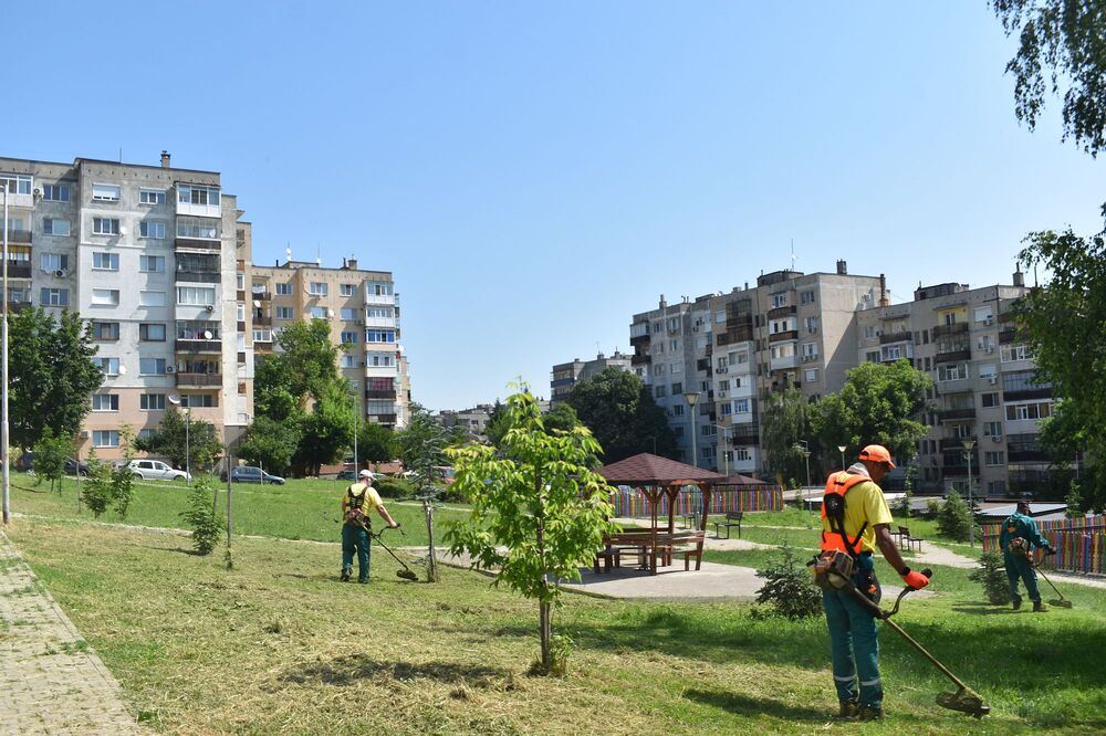 Продължава косенето на зелени площи в Разград, в някои участъци се коси за пети път