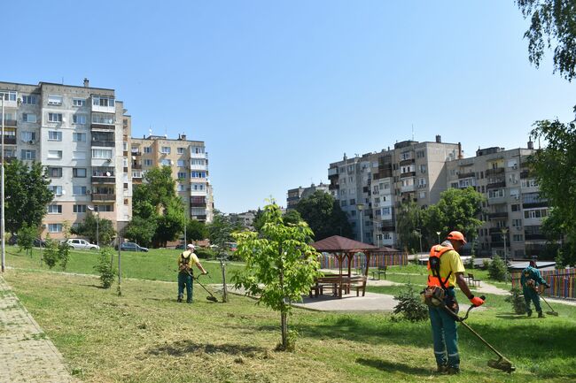 Продължава косенето на зелени площи в Разград, в някои участъци се коси за пети път
