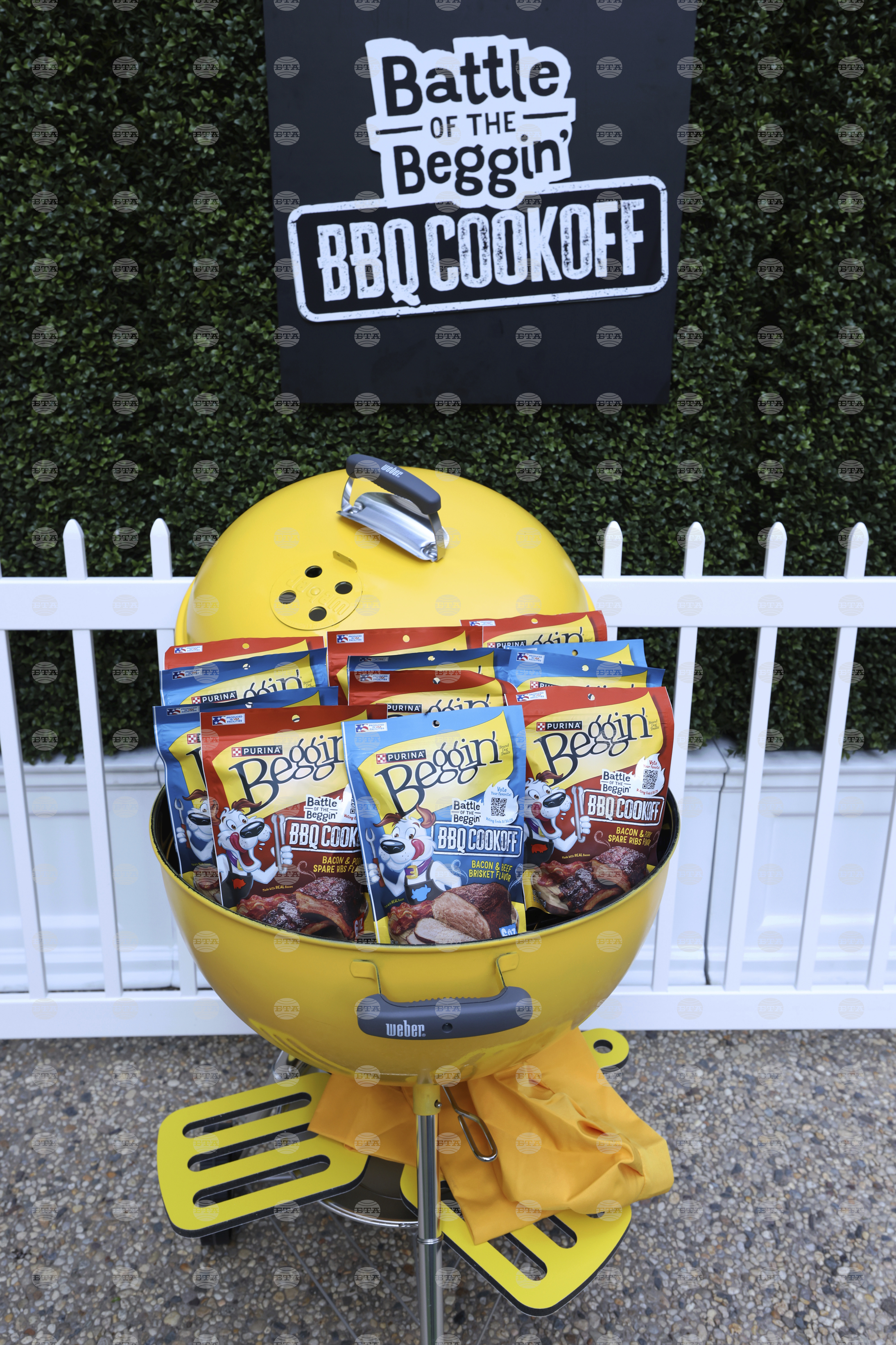 Purina Beggin' BBQ Bash