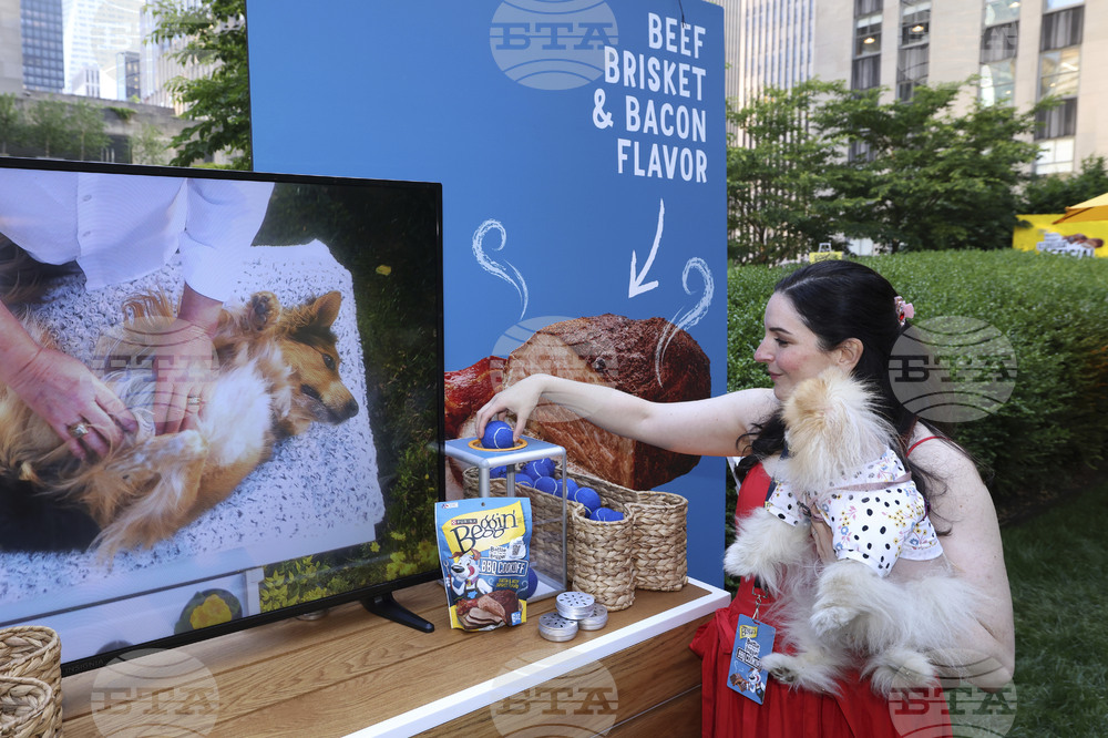 Purina Beggin' BBQ Bash