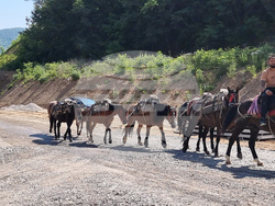 Люти дол - Мездра-Ботевград - път - разширение
