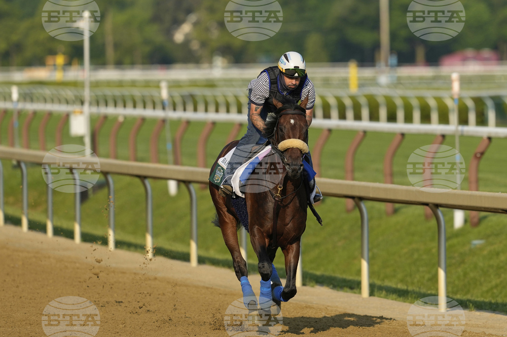 Belmont Horse Racing