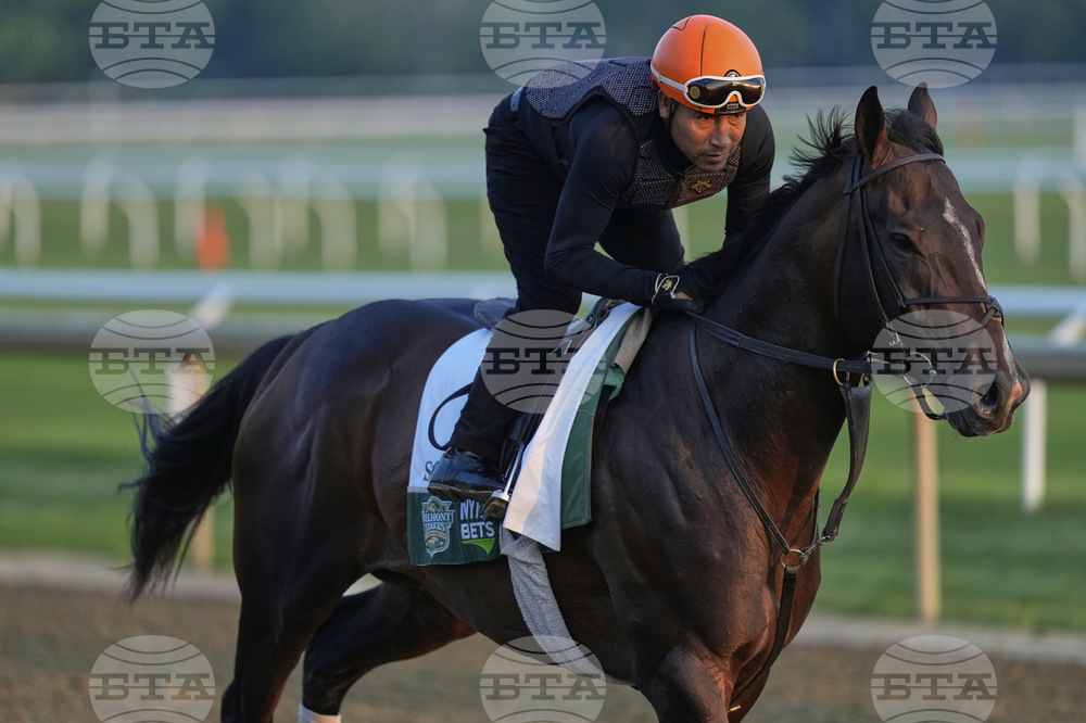 Belmont Horse Racing