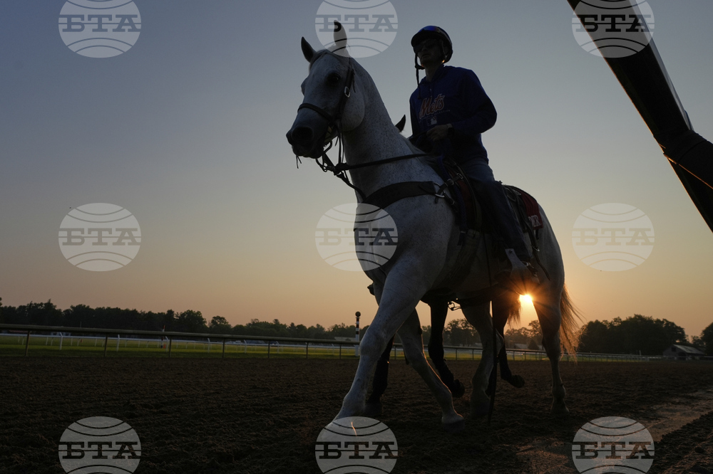 Belmont Horse Racing