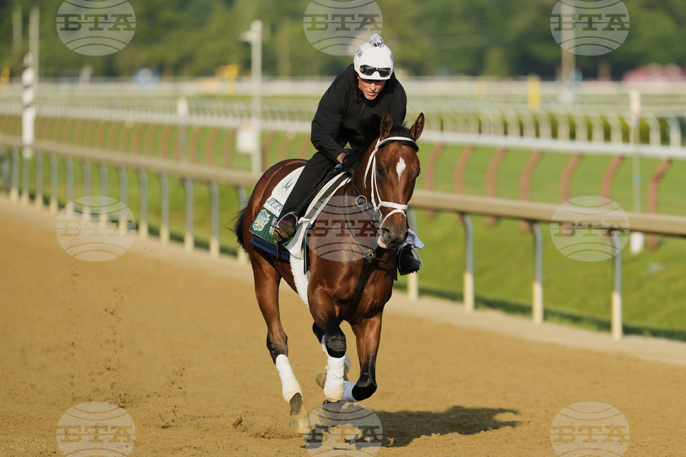 Belmont Horse Racing