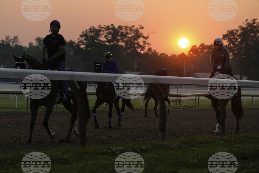 Belmont Horse Racing