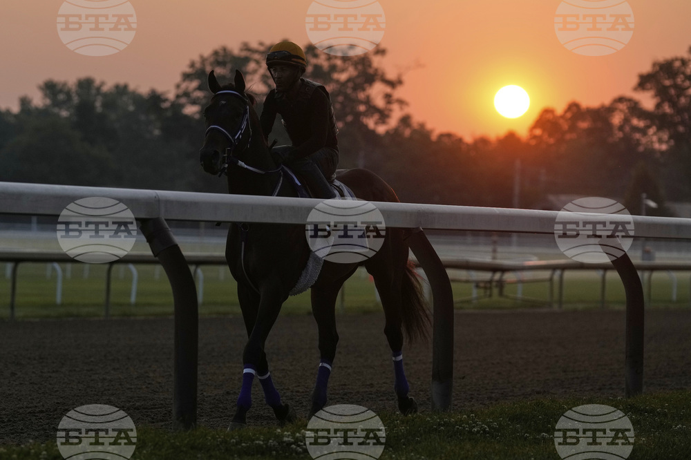 Belmont Horse Racing