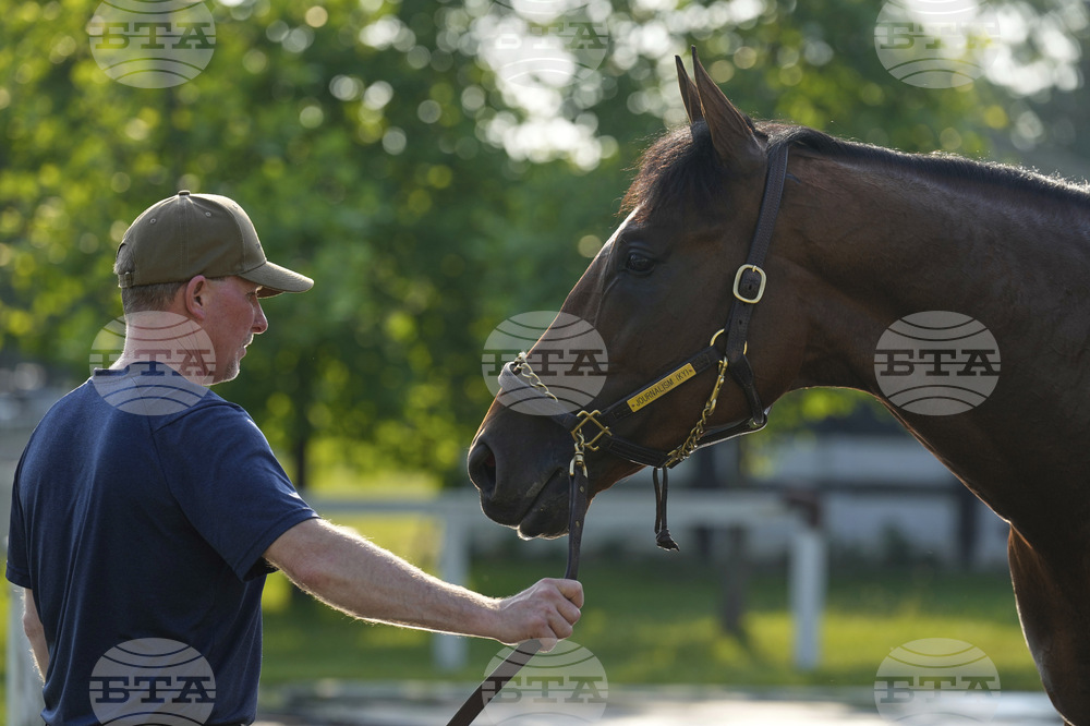 Belmont Horse Racing