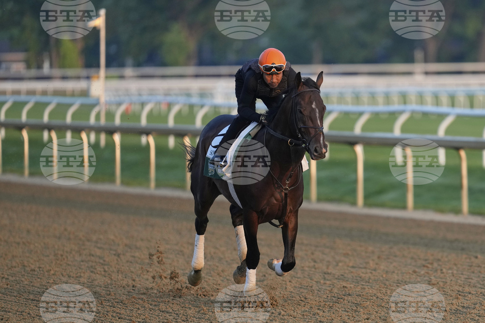 Belmont Horse Racing