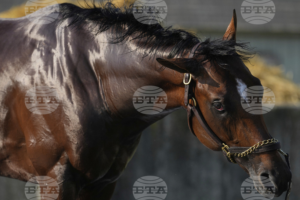 Belmont Horse Racing