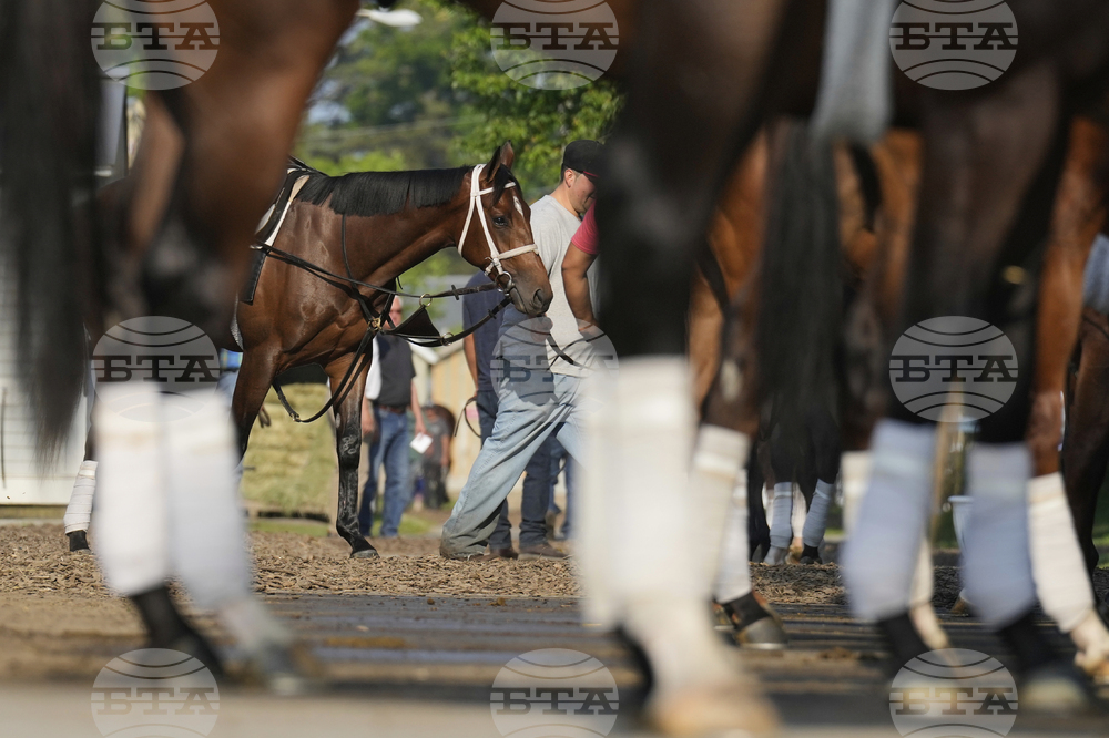 Belmont Horse Racing
