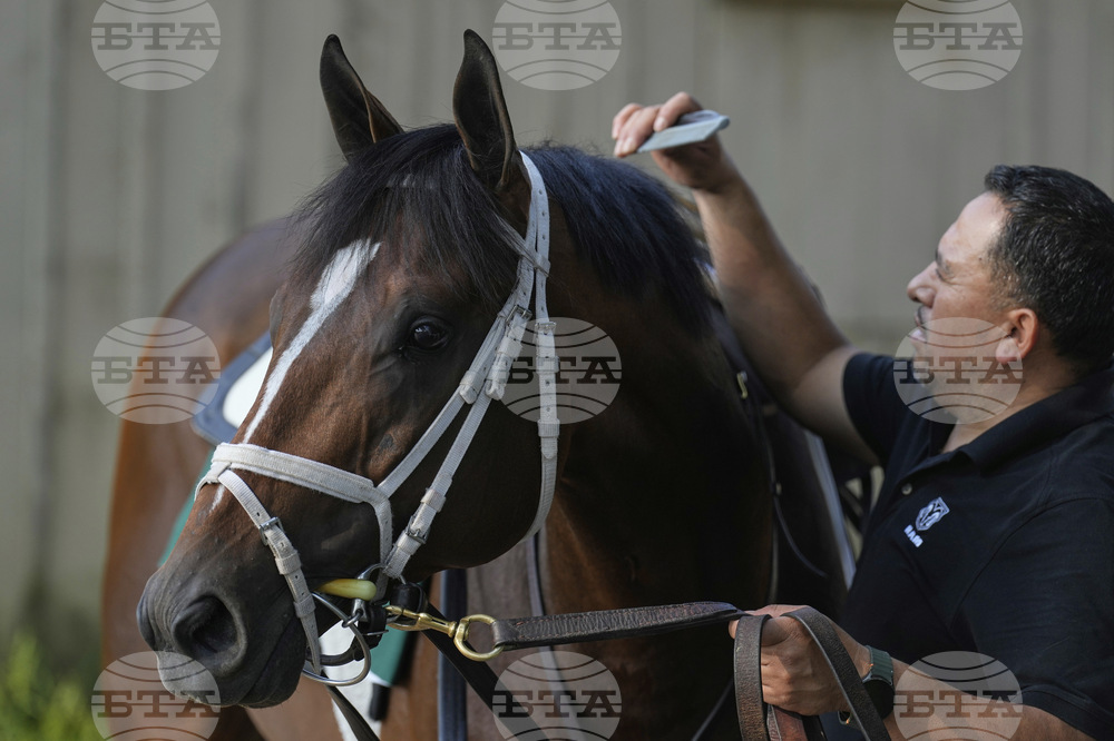Belmont Horse Racing