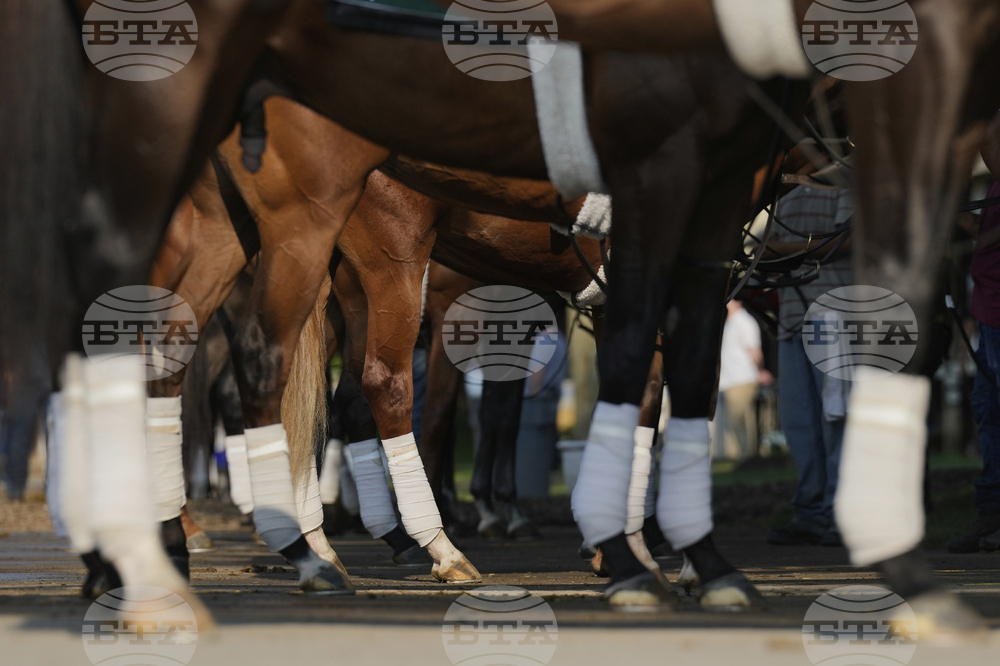 Belmont Horse Racing