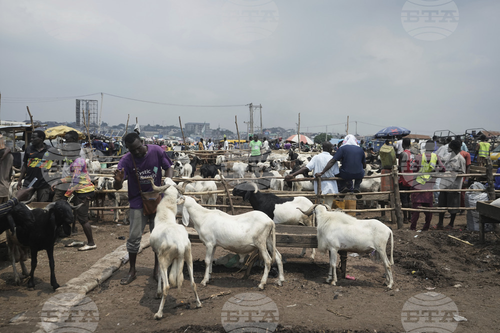 Nigeria Eid Al-Adha