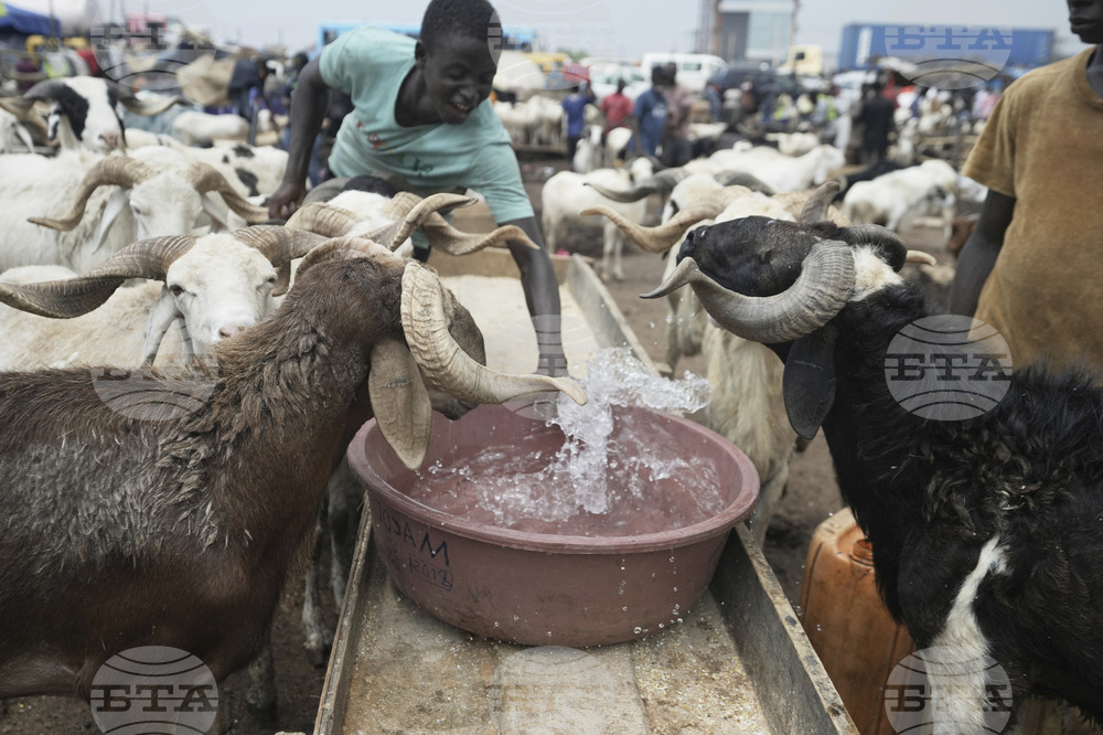 Nigeria Eid Al-Adha