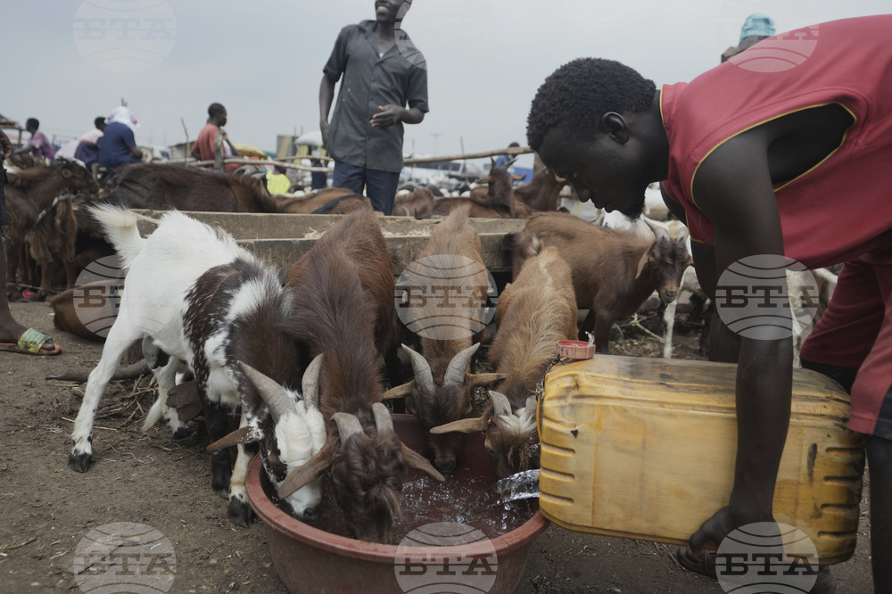 Nigeria Eid Al-Adha
